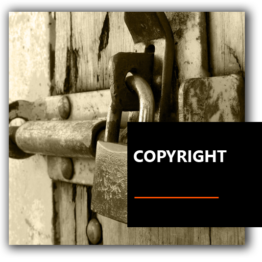 Copyright - A.S.D. Drago Azzurro